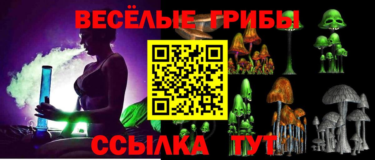 Сорочинск  Галлюциногенные грибы Magic Shrooms  Псилоцибиновые грибы ЛСД  Вход с VPN 